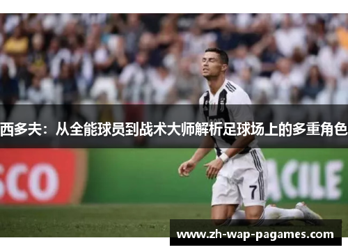 西多夫:从全能球员到战术大师解析足球场上的多重角色 西多夫:从全能球员到战术大师解析足球场上的多重角色