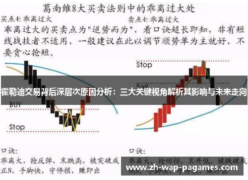 霍勒迪交易背后深层次原因分析:三大关键视角解析其影响与未来走向 霍勒迪交易背后深层次原因分析:三大关键视角解析其影响与未来走向